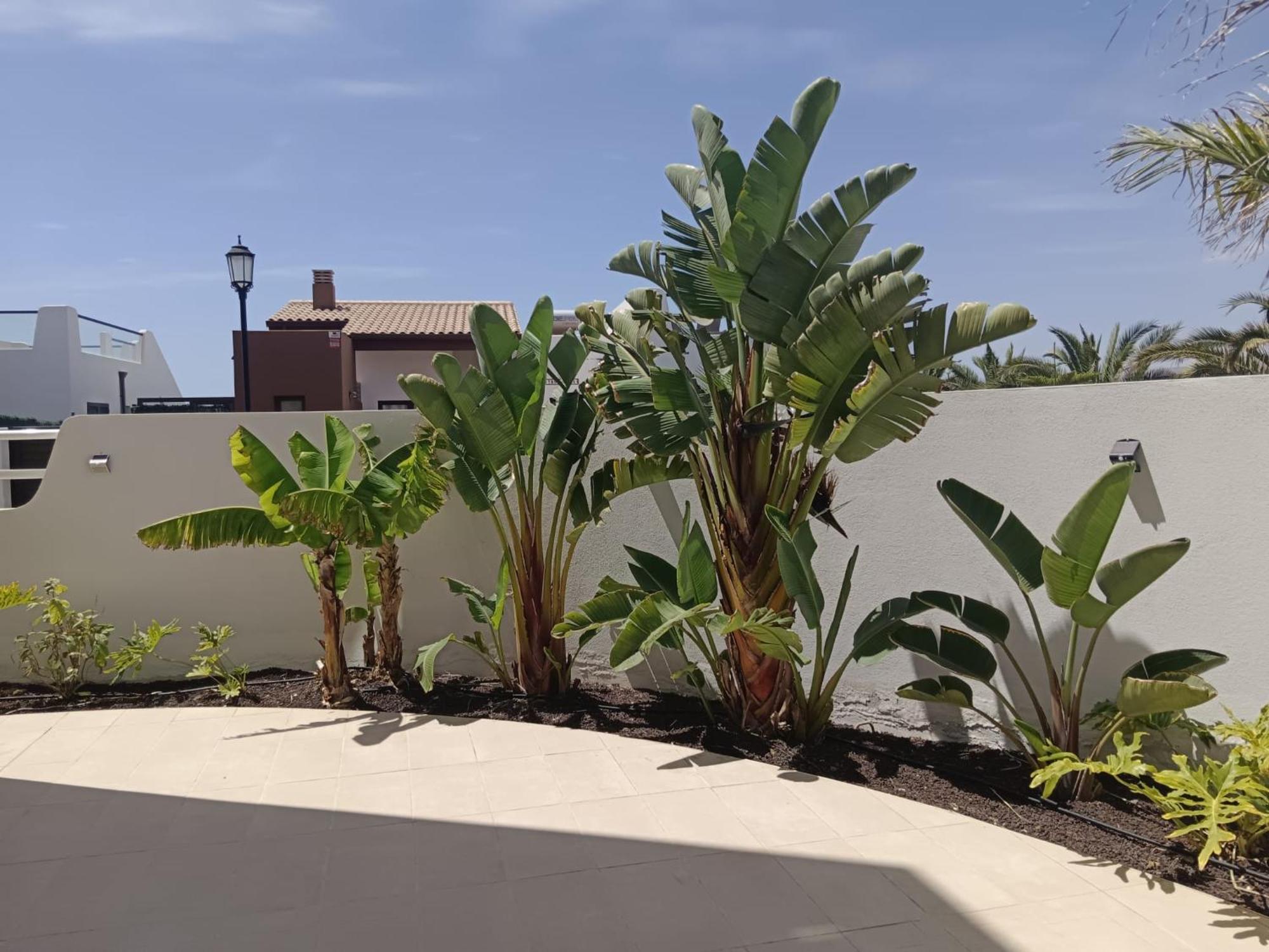 Homeforguest Flat With Large Terrace In Modern Residential Complex With Swimming Pool Caleta De Fuste Exteriér fotografie